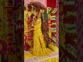 haldi ceremony 💛 haldi shoot haldi video haldiceremony haldi bridal shorts