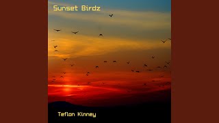 Sunset Birdz