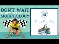 Tuesday Tip - Don't Wait to get Started in Morphology