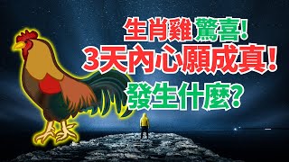 生肖雞，命理推算：3天內喜事突降，圓你一個大心願！會發生什麼驚喜？必看！ #2024年屬雞運程 #2024生肖雞運勢 #2024属鸡运势 #2024属鸡运程