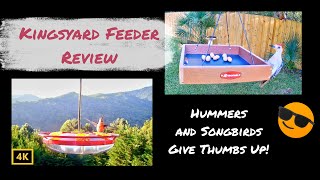 Kingsyard Hummingbird and Platform Bird Feeders Review