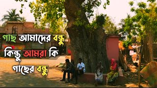 গাছ আমাদের বন্ধু কিন্তু আমরা কি গাছের বন্ধু।।