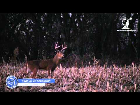 Young Eight at Grand Valley - 400 Acres Hunting Land for Sale Young Eight at Grand Valley - 400 Acres Hunting Land for Sale