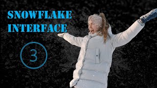 The Snowflake Web Interface