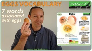 EGG vocabulary - 7 words associated with eggs