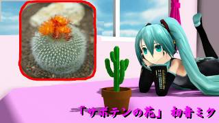 「サボテンの花」 初音ミク　カバー