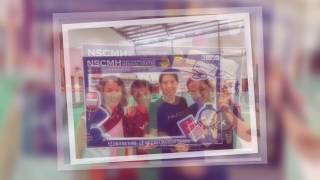 NSCMH Badminton Tournament 20170513