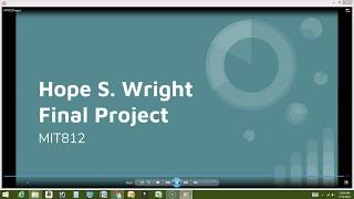 MIT812 Final Project