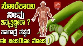 ಸೋರೆಕಾಯಿ ನೀವು ತಿನ್ನುತ್ತಿದ್ದೀರಾ ? ಹಾಗಾದ್ರೆ ತಪ್ಪದೆ ಈ ವೀಡಿಯೋ ನೋಡಿ ! - Are You Eating Gourd Bottle