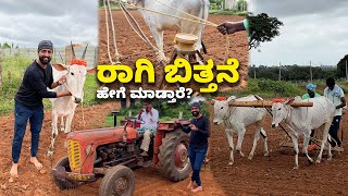 How Ragi Farming is Done? ರಾಗಿ ಬಿತ್ತನೆ ಹೇಗೆ ಮಾಡ್ತಾರೆ? | Kannada Vlogs