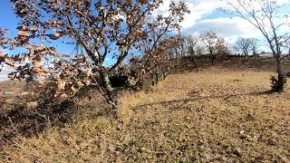 九重町　長者の郷　K様別荘地2