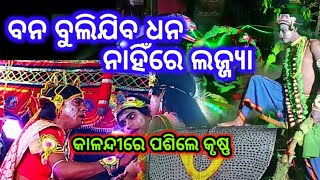 Nadiali Patanasahi, Kaliyadalan // ବନ ବୁଲି ଯିବ ଧନ ନାହିଁରେ ଲଜ୍ଜ୍ୟା // କାଳୀୟଦଳନ // Jatra Bijayee