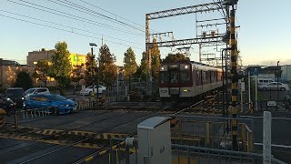 近鉄1233系VE39+8600系X64編成の急行京都行き 寺田駅