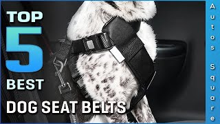 Top 5 Best Dog Seat Belts Review in 2023