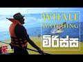 Travel With Chatura | මිරිස්ස | whale watching