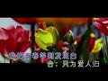 梨花飞情人泪 合唱版 望海高歌 主唱 karaoke