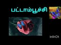 பட்டாம்பூச்சி பற்றிய தகவல்கள் இந்தியாவின் தேசிய பூச்சி tnpsc exam tips