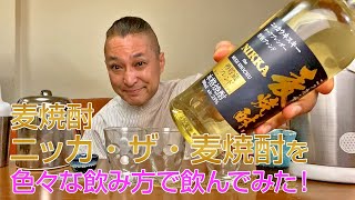 【レビュー】ニッカウヰスキーの麦焼酎 ニッカ・ザ・麦焼酎を色々な飲み方で飲んでみた♪