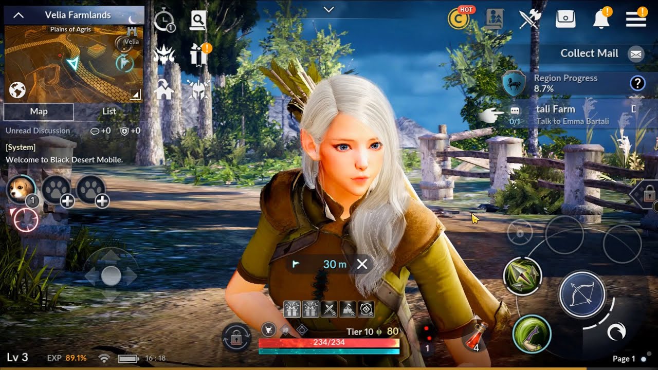 Black Desert Mobile On Pc Gameloop Joawhere