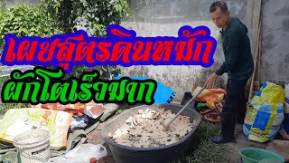 ดินหมักมีไนโตรเจน