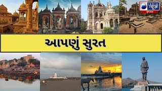 Navsari :- ઈજાગ્રસ્ત શિયાળને બચાવાયું - India News Gujarat