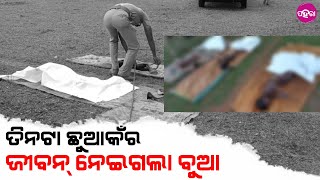 News: ସଇତାନ୍ ବୁଆ ନିଶାନେ ନାଇଁ ଚିହ୍ନଲା ନିଜର ଛୁଆ ଆର ପକେଇ ଦେଲା କୂଆଁନେ