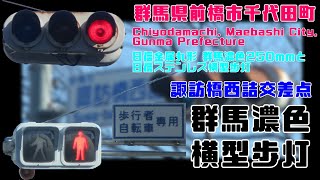 【信号機】(3位灯更新済み) 群馬県前橋市千代田町 日信金属丸形 群馬濃色250mmと日信ステンレス横型歩灯