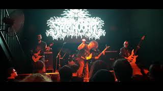 Sarinvomit - Everlasting Infestation Awakens (Live - 16.02.2025)