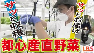 【進化系青果店（LBS）】福岡発！注文してその場で収穫”世界一新鮮な野菜”