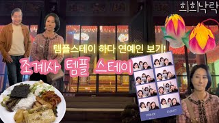 조계사 템플스테이 5분만에 보기(feat. 템플중에 연예인 보기)