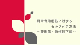 名古屋市名東区藤が丘の頭のほぐし専門店　うたたね庵〜肩甲骨周囲筋に対するセルフケア　菱形筋・僧帽筋下部〜