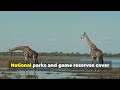 Why Botswana Reigns as Africa's Ultimate Safari Destination
