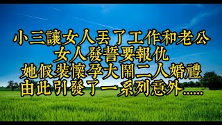 小三讓女人丢了工作和老公女人被誓要报仇她假装嚷孕大開二人婚禮由此引發了一系列意外......