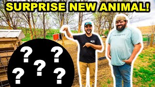 STRANGER Surprises Me with a NEW Backyard Farm ANIMAL!!!!