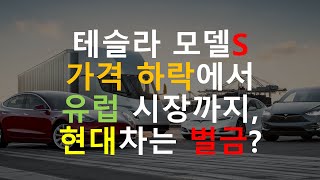 테슬라 모델S 가격 하락에서 유럽 시장 전망까지 현대차는 벌금?