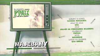 Blaszka - Najebany