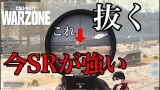 SRを制する者は世界を制す【WARZONE】