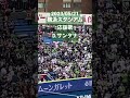 【応援歌】d.サンタナ 東京ヤクルトスワローズ セリーグ プロ野球 横浜スタジアム 東京ヤクルトスワローズ 声出し応援 応援歌 応援 d.サンタナ