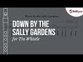 Down by the Sally Gardens Tin Whistle Tab