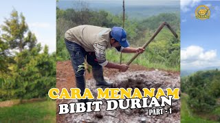 CARA MENANAM POHON DURIAN AGAR CEPAT TUMBUH DAN BERBUAH VERSI AA KADU