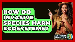 How Do Invasive Species Harm Ecosystems? - Ecosystem Essentials