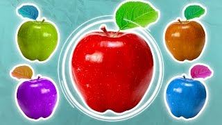 Do We All See The Same Colors?