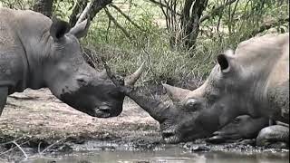 Kruger National Park SD 1998 - South Africa Travel Channel 24