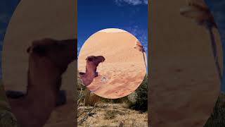 How are Deserts Formed?  #scienceeducation #science #educationalvideo #shorts #stem