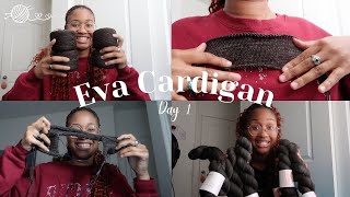 day 1 | new project! starting to knit the eva cardigan by petiteknit | daily vlog