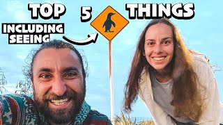 TIMARU - top 5 things to do 🐧