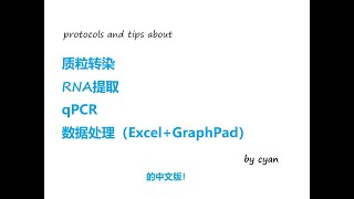 cyan in lab #2 qpcr 实验方法 protocols 数据处理 质粒转染 RNA抽提 实时荧光定量pcr 湿实验 生物化学分子生物学实验