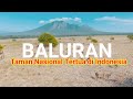 TERTUA DI INDONESIA, INILAH FAKTA TAMAN NASIONAL BALURAN, AFRIKA ALA INDONESIA