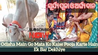 Surya Pooja GoMata Puja || ସୂର୍ଯ୍ୟ ଦେବତା   ଙ୍କ ପୂଜାର୍ଚ୍ଚନା ଓ ଅର୍ଘ୍ୟ ପ୍ରଦାନ ||