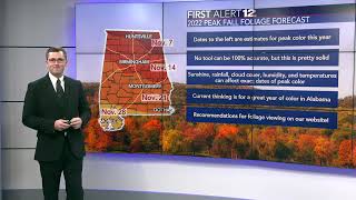 2022 Fall Foliage Map released